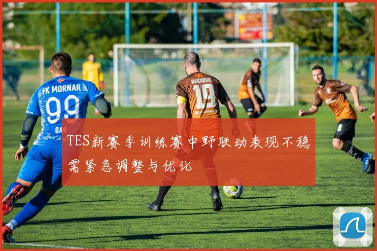 TES新赛季训练赛中野联动表现不稳需紧急调整与优化